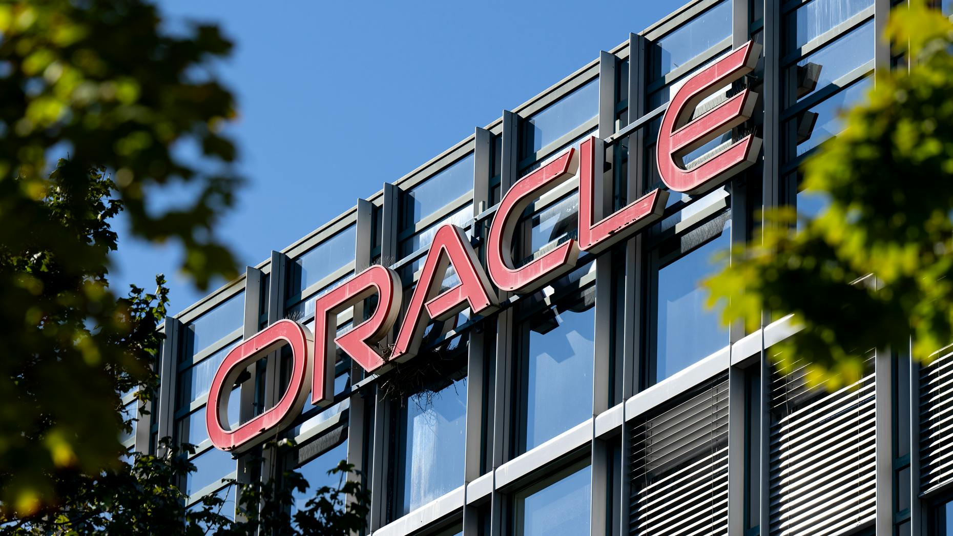 AI Feed Oracle